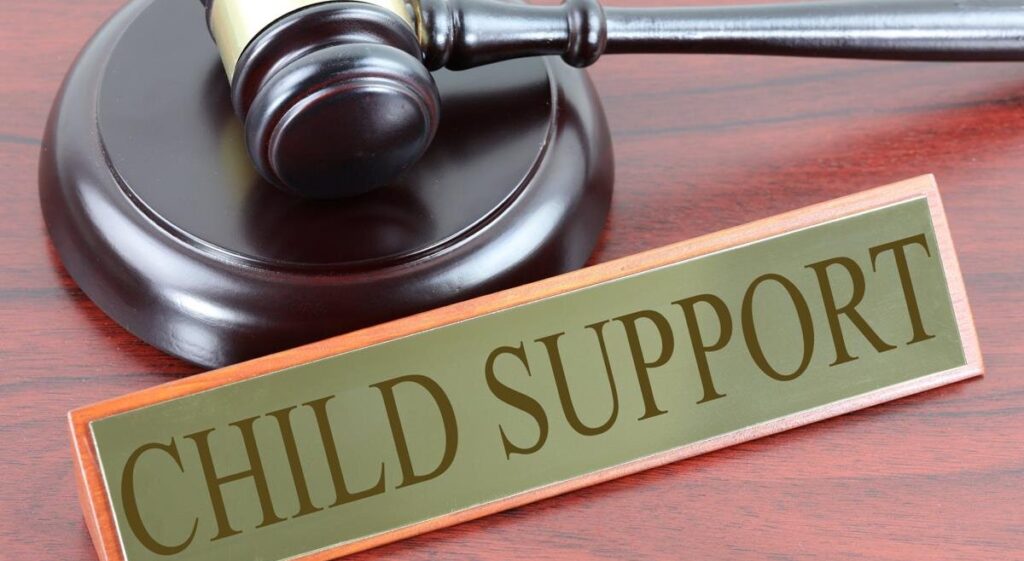 Federal Child Support Guidelines. Amount of Child Support.